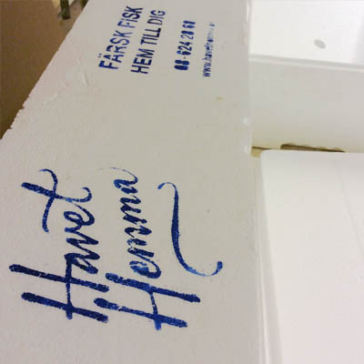 <b>Gåsmamman 1 props</b><br>Logo example (for a fake fish delivery company, here on ice boxes)